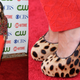 Image for article titled Small-Screen Stars Make Big Fashion Mistakes